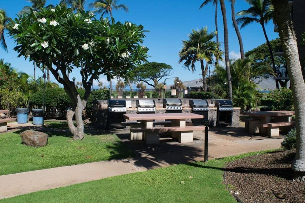 דירות קיהיי Oceanfront Penthouse With Amazing Views At Kauhale Makai מראה חיצוני תמונה