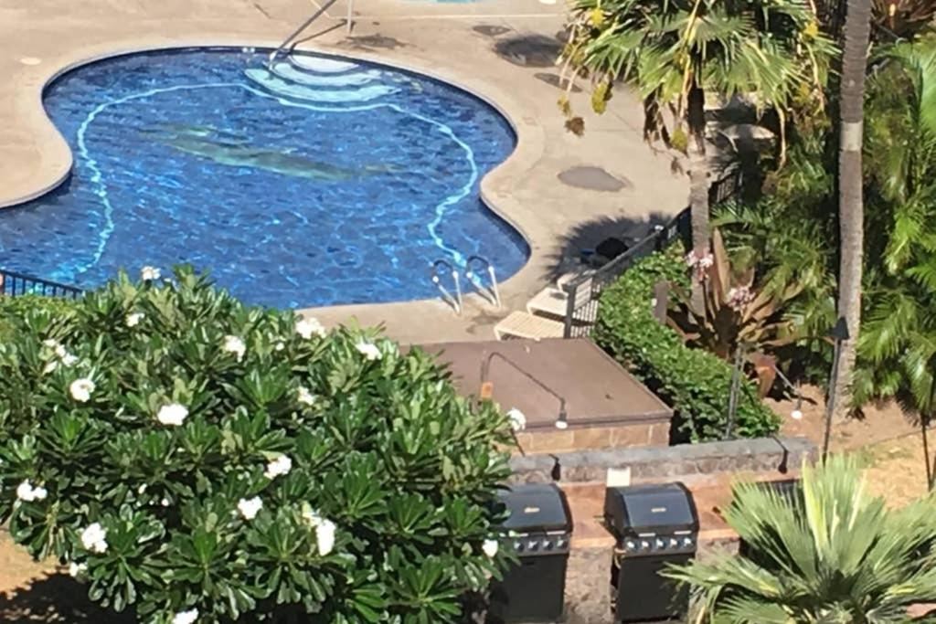 דירות קיהיי Oceanfront Penthouse With Amazing Views At Kauhale Makai מראה חיצוני תמונה